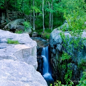 portbuttonCoxingFalls