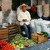 portbutton-mexico